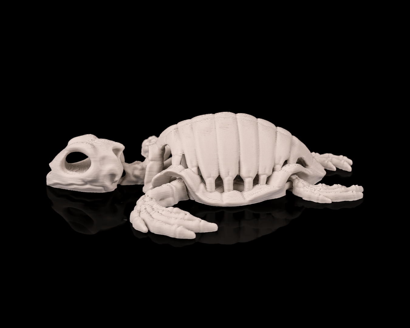 Skeleton Turtle – Articulated 3D Printed Display Figure