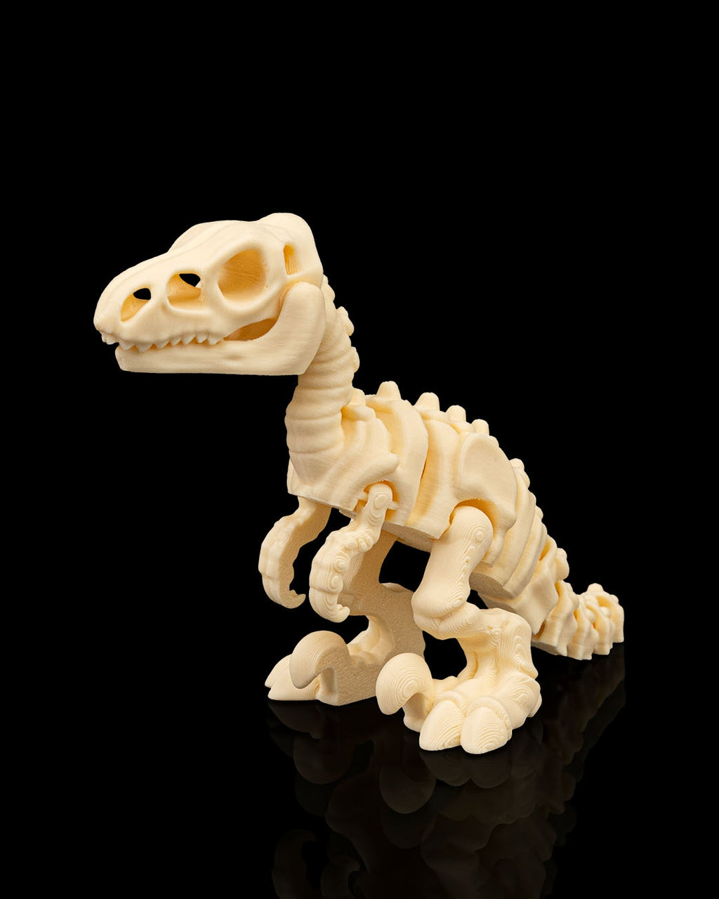 Skeleton Velociraptor – Articulated 3D Printed Display Figure