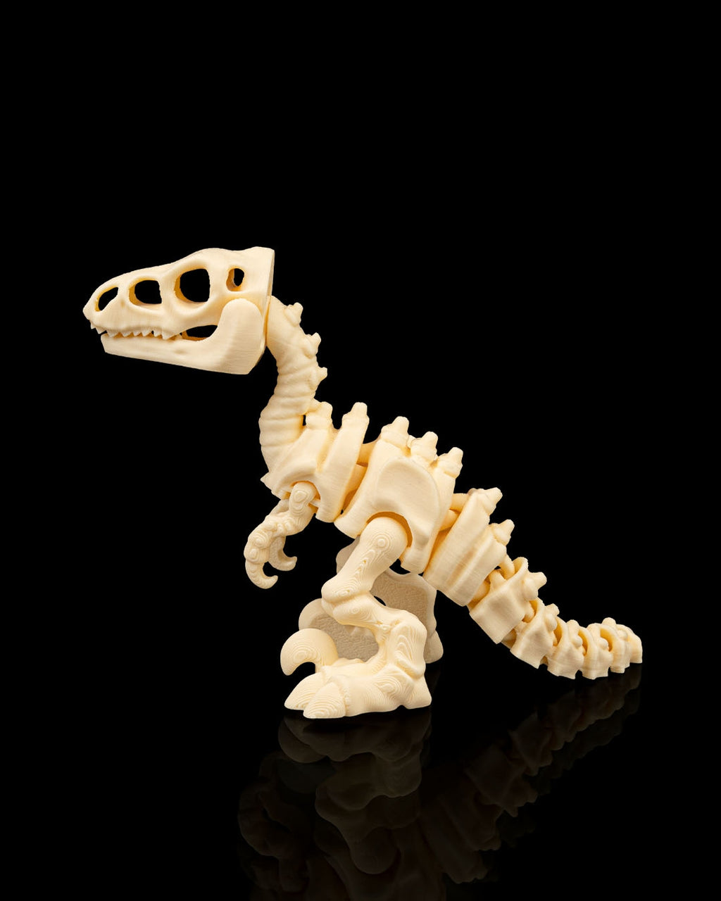 Skeleton Velociraptor – Articulated 3D Printed Display Figure