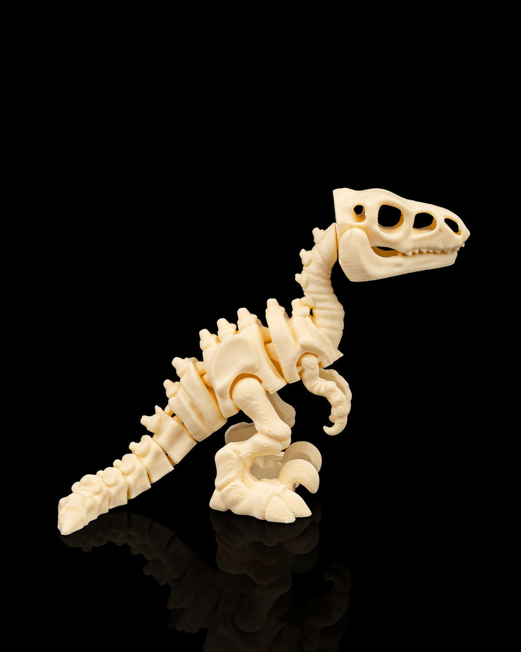 Skeleton Velociraptor – Articulated 3D Printed Display Figure