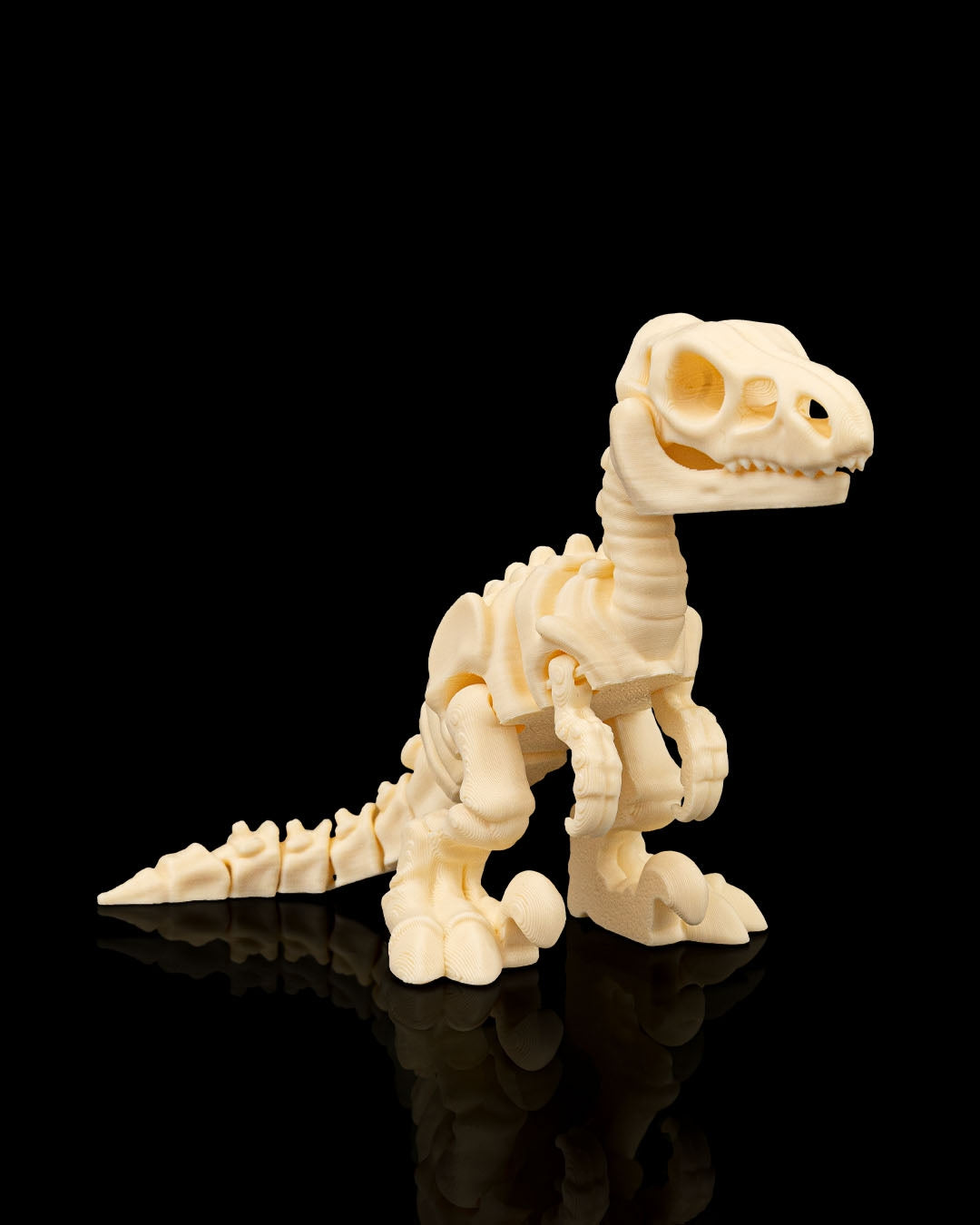 Skeleton Velociraptor – Articulated 3D Printed Display Figure
