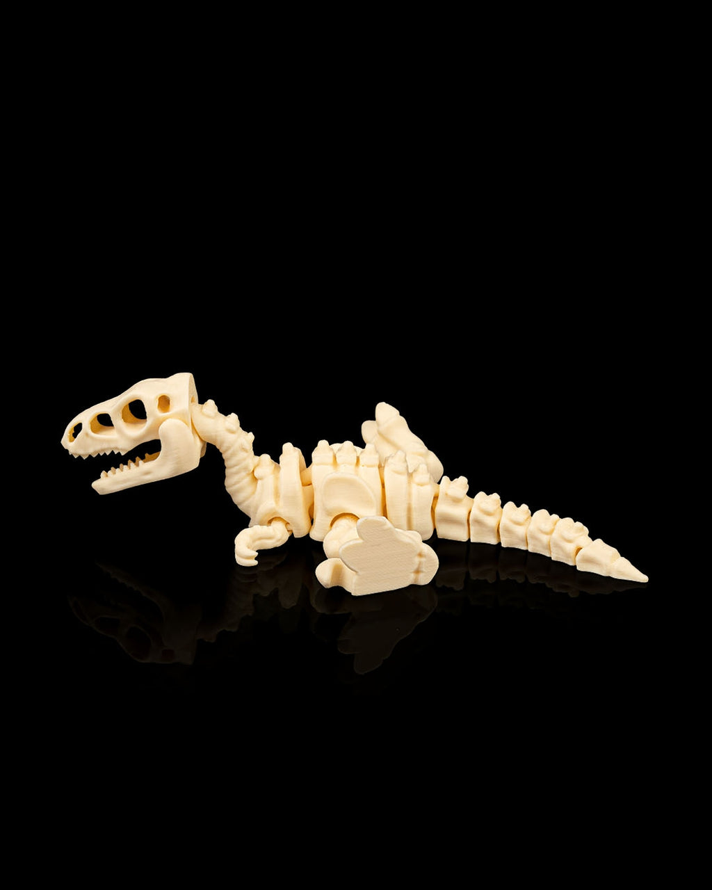 Skeleton Velociraptor – Articulated 3D Printed Display Figure