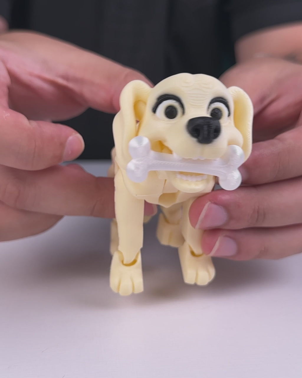 Darla the Labrador – Articulated 3D Printed Display Figure