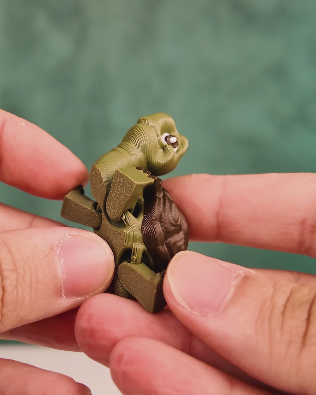 Pair of Tortoises – 3D Printed Display Figures