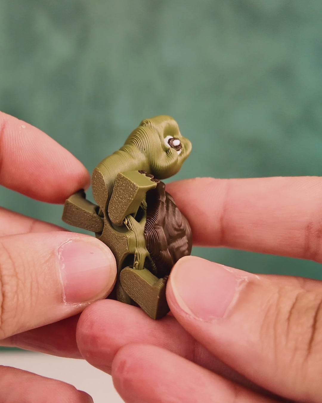 Pair of Tortoises – 3D Printed Display Figures