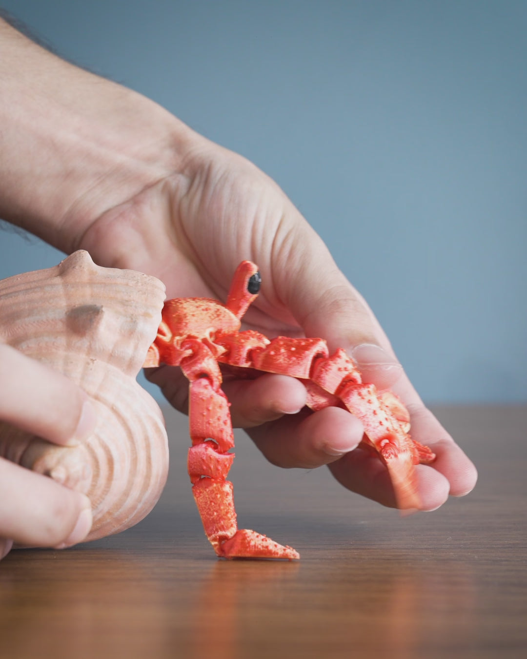 Hermes the Hermit Crab – Articulated 3D Printed Display Figure